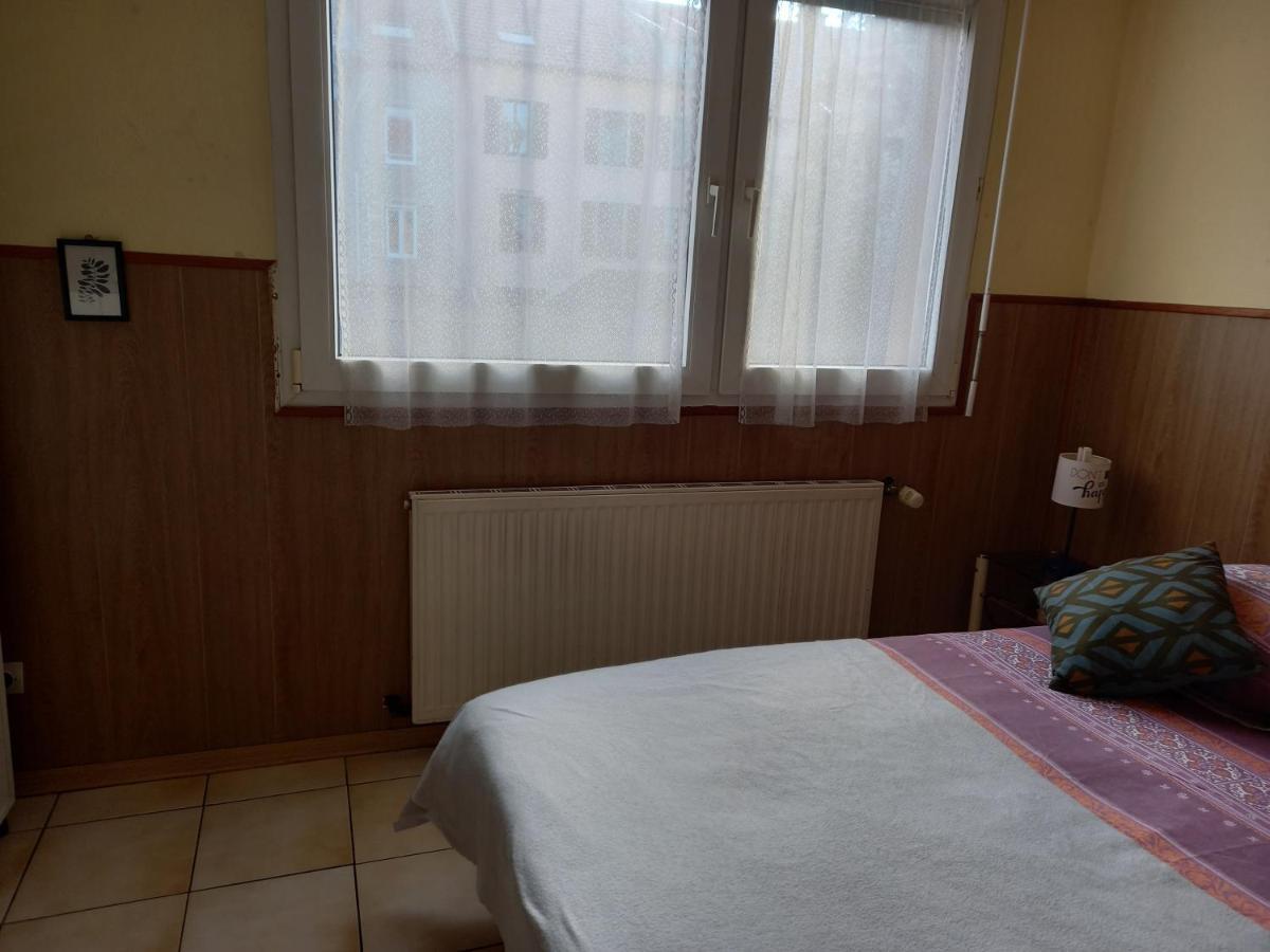 Les Appartements Du Lion De בלפורט מראה חיצוני תמונה