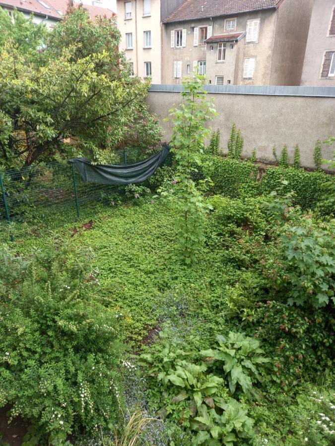 Les Appartements Du Lion De בלפורט מראה חיצוני תמונה